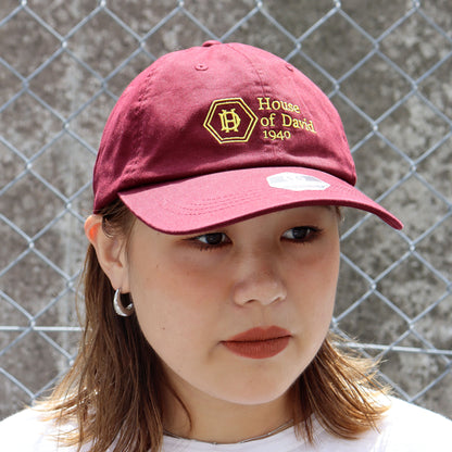 TAMANIWA×NEGRO LEAGUE : TN-05 NL LOGO CAP